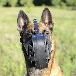 Намордник кожаный для атаки дрессировка малинуа